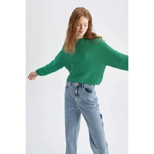 Coool Regular Fit Bisiklet Yaka Kazak L2567AZ22AU