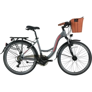Sandy 26" Jant 43 cm Kadro 21 Vites Sepetli Şehir Bisikleti
