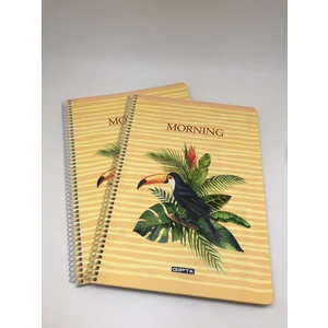 Morning Spiralli Karton Kapak A4 80 Yaprak Kareli Defter 2'li