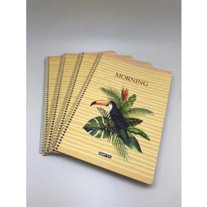 Morning Spiralli Karton Kapak A4 80 Yaprak Kareli Defter 4'lü