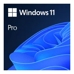 Windows 11 Professional-Elektroniklisans