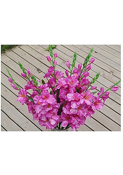 6xpartifial Simülasyon Gladiolus Çiçek Kök Düğün Ev Dekor 6 Adet fırsatları