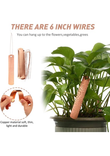 Damgalama Bitki Etiketleri Işaretleyicileri Plastik 5 Adet modelleri