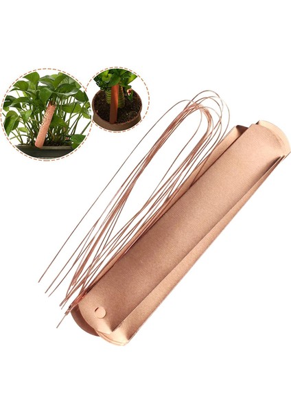 Damgalama Bitki Etiketleri Işaretleyicileri Plastik 5 Adet fırsatları