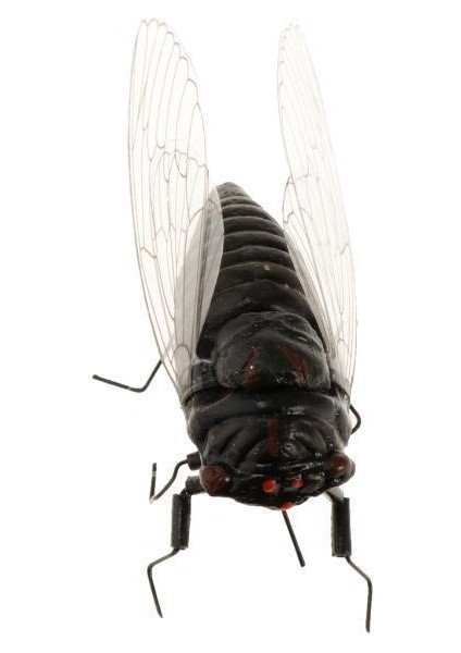 3xigh Simüle Kil Rastgele Renkli Hayvanlar Model Oyuncaklar Cicada 3 Pcs