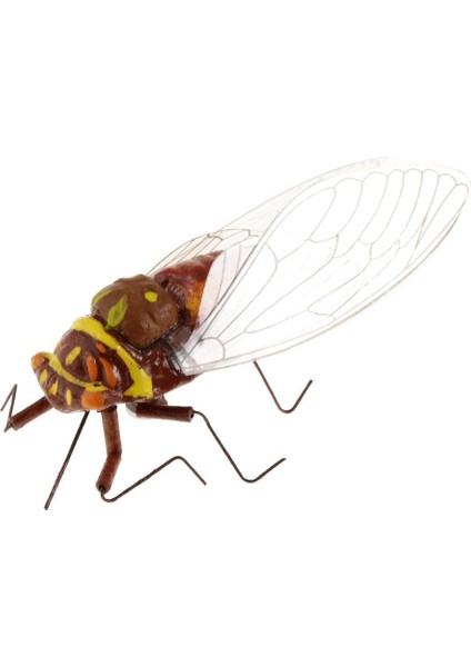 3xigh Simüle Kil Rastgele Renkli Hayvanlar Model Oyuncaklar Cicada 3 Pcs