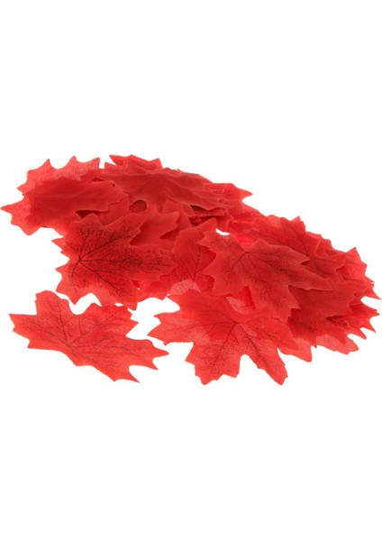 Ipek, Düğün Bahçesi Dekorasyonunu Yapır 5 Pcs