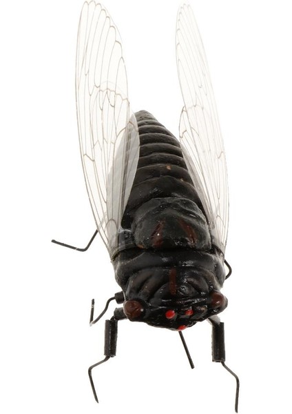 6xighly Simüle Kil Rastgele Renk Hayvanları Model Oyuncaklar Cicada 6 Pc modelleri