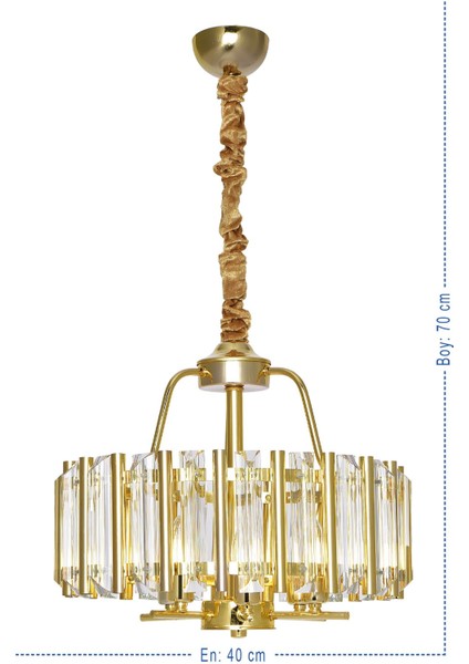 Eren 40 Lık Gold Modern Taşlı