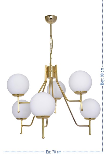 Saray 8 Li Gold Modern