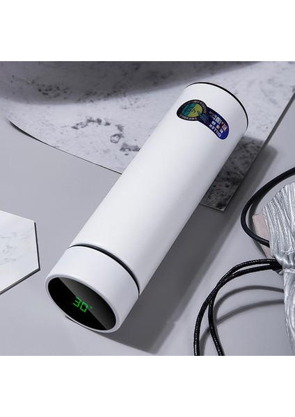 Akıllı Sıcaklık Gösterisi Erkeklerin Isı Koruma Kupası(Yurt Dışından)