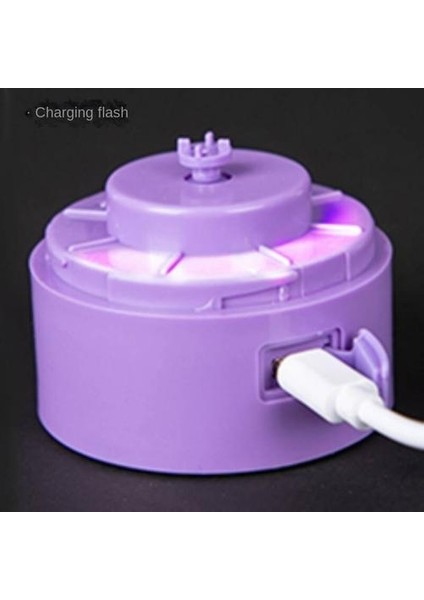 450ML Elektrikli Sıcak Su Kupası(Yurt Dışından) fiyatları