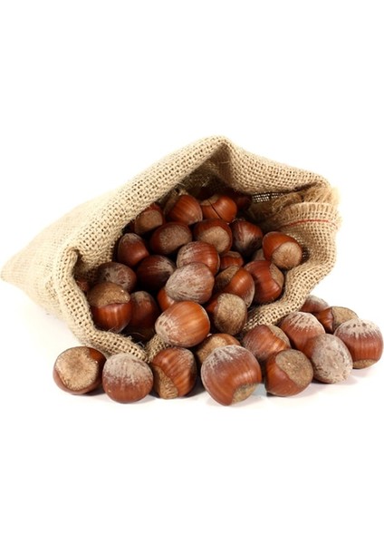 Organik Kabuklu Fındık Jüt Çuval 500 gr fiyatları