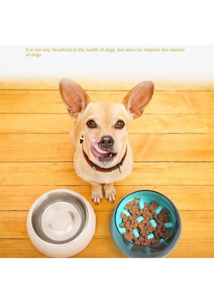 Plastik Evcil Hayvan Besleme Kasesi, Boyun Koruması Uygun ve Pratik Kayma Önleyici ve Korozyon Evcil Hayvan Ürünleri(Yurt Dışından) fırsatları