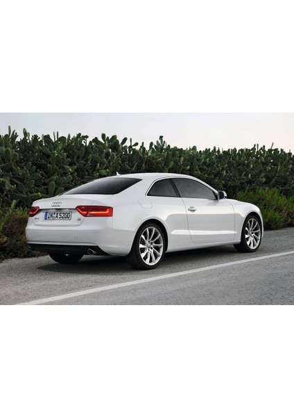 Audi A5 Coupe 2012-2016 Arka Bagaj Kapağı Amortisörü Pistonu 8T0827919