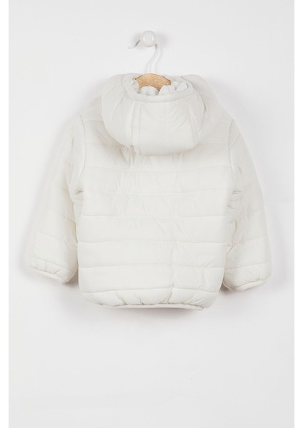 Lisanslı Ekru Bebek Mont modelleri