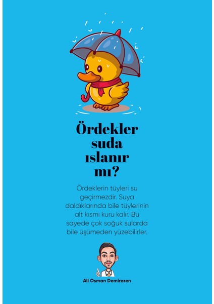 Okul Ajandası 2022-2023 - Anooshirvan M. Miandji (Ciltli)