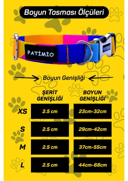 Gold Paws Köpek Boyun ve Gezdirme Tasma Seti