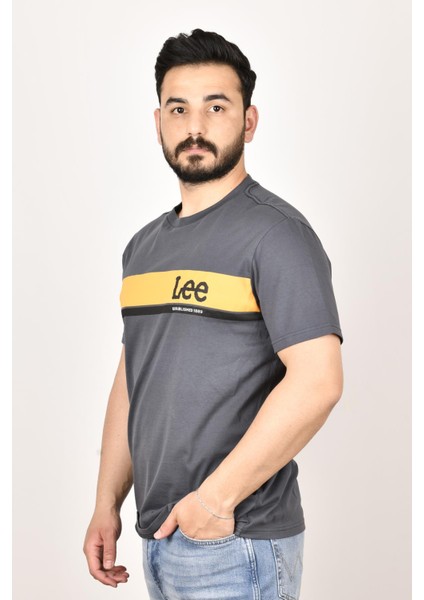 L211918003 Erkek Antrasit Bisiklet Yaka T-Shirt fiyatları