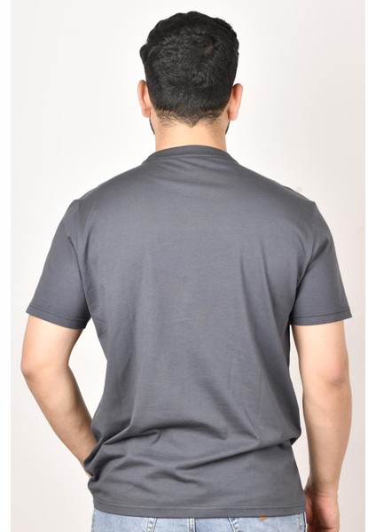 L211918003 Erkek Antrasit Bisiklet Yaka T-Shirt modelleri