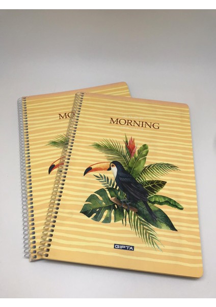 Morning Spiralli Karton Kapak A4 80 Yaprak Kareli Defter 2'li