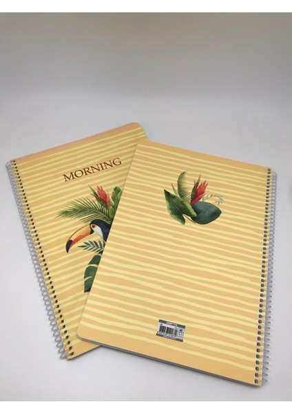Morning Spiralli Karton Kapak A4 80 Yaprak Kareli Defter 2'li