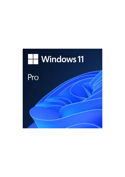 Windows 11 Professional-Elektroniklisans