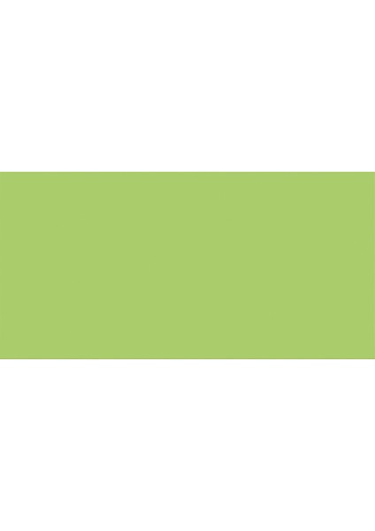 Ab-Tp Pro Dual Brush Pen Grafik Kalemi Willow Green 173 fiyatları