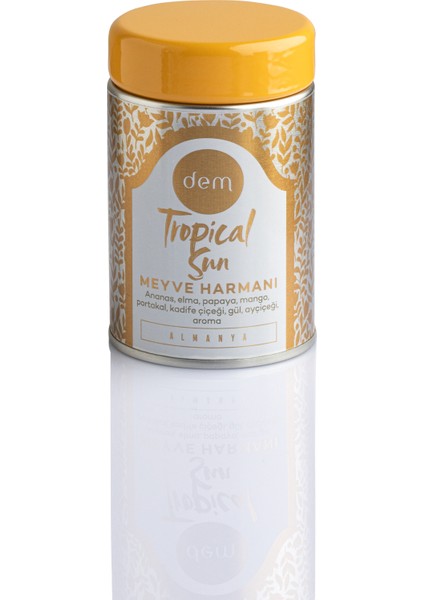 Tropical Sun Tropik Meyve Çayı 25 gr