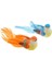 Kuş Taxidemy 4 Pcs 1