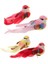 Kuş Taxidemy 4 Pcs 4