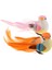 Kuş Taxidemy 4 Pcs 4