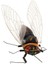 3xigh Simüle Kil Rastgele Renkli Hayvanlar Model Oyuncaklar Cicada 3 Pcs 2