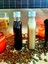 2'li Cold Brew Kahve Şişesi 200 cc Gümüş Kapak Yassı Cam Şişe 3
