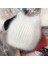 2020 Basit Kız Angora Tavşan Kürk Kulak Beanie Şapka Kadınlar Için Kış Skullies Sıcak Yün Panama Moda Gorros Kadın Bombacı Kap | Mens Skullies Ve;kasket 2