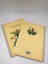 Morning Spiralli Karton Kapak A4 80 Yaprak Kareli Defter 2'li 2