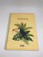 Morning Spiralli Karton Kapak A4 80 Yaprak Kareli Defter 1