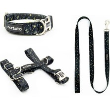 Gold Paws Köpek Göğüs, Boyun ve Gezdirme Tasma Seti