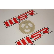 Msr Regal Raptor DD350E-6C / DD300E-6 / Mr Destro 350 Yağ Pompa Dişli