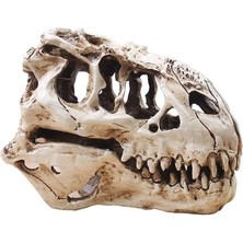 Dinozor Tyrannosaur Skull T Rex Kafatası Hediyeler Gerçekçi Reçine El Sanatları Dinozor Kafatası Fosil Öğretim Iskelet Modeli Ev Dekor | Akvaryumlar ve tanklar