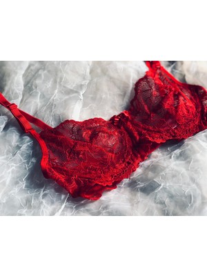 Zag Lingerie Yumuşak Dantelli Takım