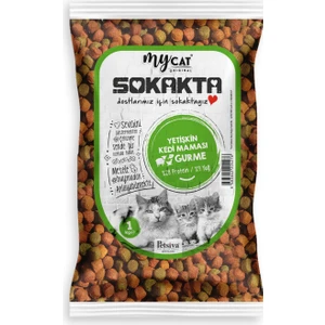 My Cat Mycat Sokakta Gurme Yetişkin Kedi Maması 1kg