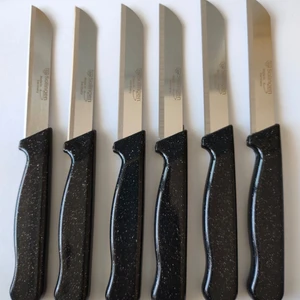 Keskin Solingen Marka Meyve & Sebze Bıçağı 6 Adet Simli Siyah
