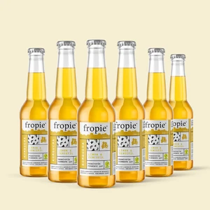 Limon & Zencefilli Probiyotik Kombucha - 250 ml - 6 adet