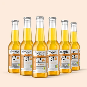 Klasik Probiyotik Kombucha - 250 ml - 6 adet