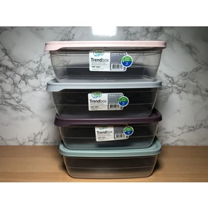 Hobby Life Saklama Kabı 4 Lü Dikdörtgen 2 Lt