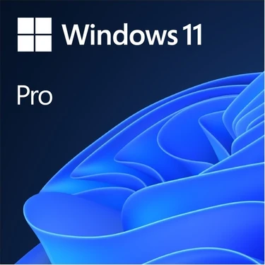 Windows 11 Pro Oem 64BIT