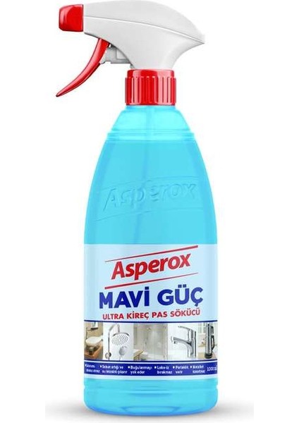 Mavi Güç 1000 ml x 12 Adet
