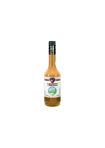 Irısh Cream Irlanda Kreması Aromalı Kokteyl Şurup 700 ml