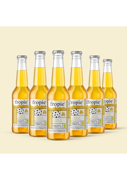 Limon & Zencefilli Probiyotik Kombucha - 250 ml - 6 adet